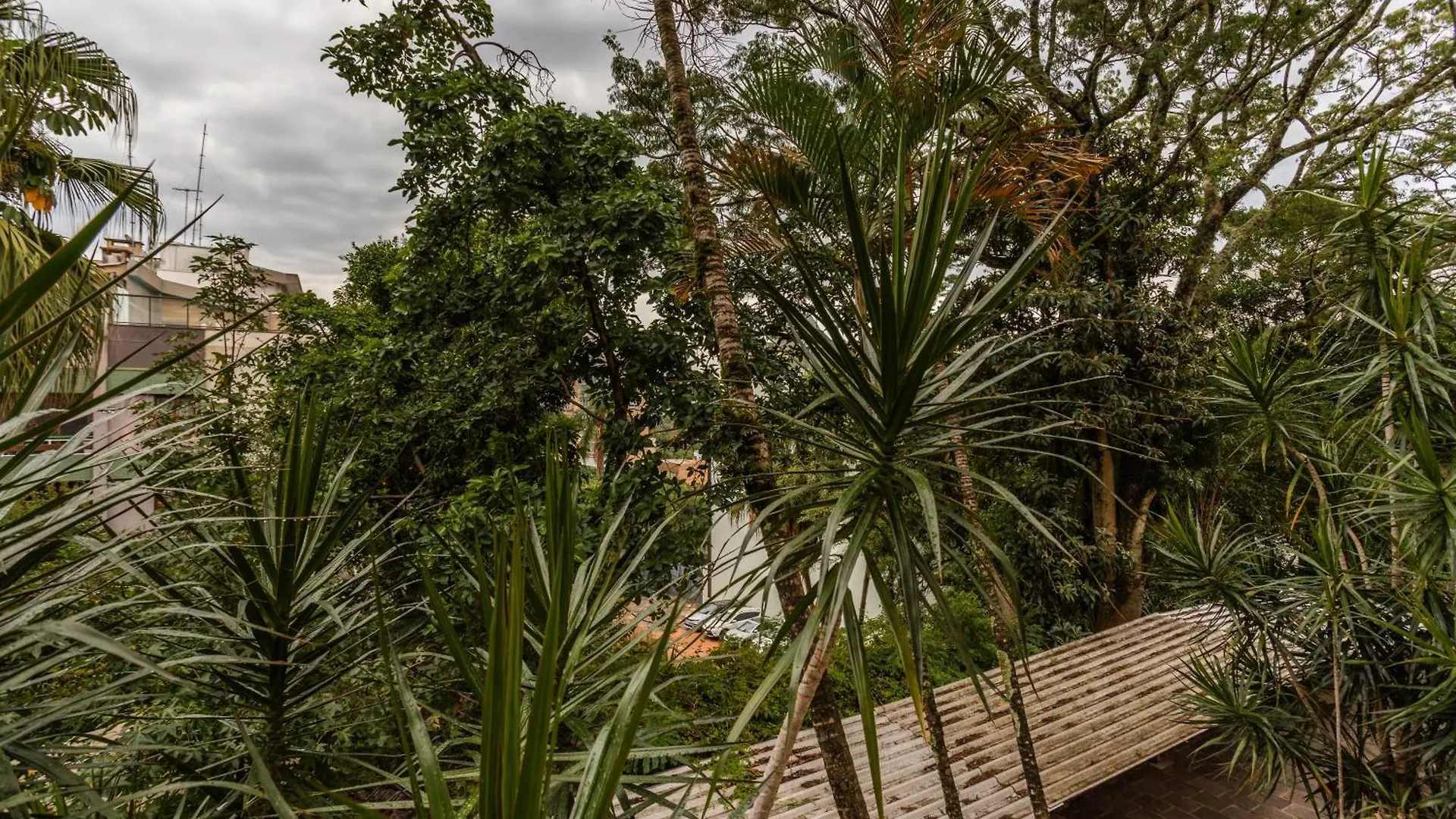 Apto Proximo Ao Parque Moinhos Com 2 Quartos E Vaga De Garagem Porto Alegre 0*,  Brazil